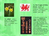 The daffodil is also a Welsh national emblem because its Welsh name is translated as a type of leek. The Red Dragon of Wales, although perhaps of Chinese origin, was introduced to Britain by the Romans some eighteen hundred years ago. A favourite souvenir for the tourists is a Welsh love spoon. They