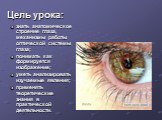 Цель урока: знать анатомическое строение глаза, механизмы работы оптической системы глаза; понимать как формируется изображение; уметь анализировать изучаемые явления; применять теоретические знания в практической деятельности.