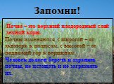 Запомни! Почва – это верхний плодородный слой земной коры. Почвы изменяются с широтой – от экватора к полюсам, с высотой – от подножий гор к вершинам. Человек должен беречь и охранять почвы, не истощать и не загрязнять их.