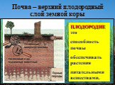 Почва – верхний плодородный слой земной коры. ПЛОДОРОДИЕ это способность почвы обеспечивать растения питательными веществами.