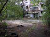 Чернобыль - это самый эффективный "заповедник". Природа "зализывает раны", как на уровне генома, так и на уровне экосистем. Численность популяций многих видов животных стала такой, какой она была до того, как сюда пришёл человек. Не будет большой ошибкой если сказать, что Чернобы