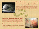 Пещера Шульган-Таш. Пещера Шульган-таш — одна из крупнейших карстовых пещер на Южном Урале, где обнаружены около 30 настенных рисунков (изображений мамонтов, носорогов, диких лошадей) эпохи палеолита, имеющих мировое значение. Шульган-таш — единственная пещера в Восточной Европе, где хорошо сохранил