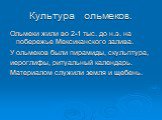 Культура ольмеков. Ольмеки жили во 2-1 тыс. до н.э. на побережье Мексиканского залива. У ольмеков были пирамиды, скульптура, иероглифы, ритуальный календарь. Материалом служили земля и щебень.