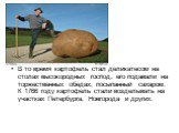 В то время картофель стал деликатесом на столах высокородных господ, его подавали на торжественных обедах, посыпанный сахаром. К 1766 году картофель стали возделывать на участках Петербурга, Новгорода и других.