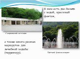 В нем есть два бювета с водой, красивый фонтан, а также много разных маршрутов для лечебной ходьбы (терренкур). Смирновский источник. Цветной фонтан в парке