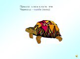 Пришла к нам в гости тетя Черепаха – turtle (тётл).