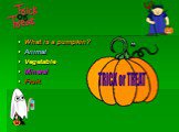 What is a pumpkin? Animal Vegetable Mineral Fruit