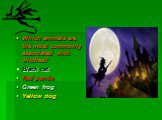 Which animals are the most commonly associated with witches? Black cat Red panda Green frog Yellow dog