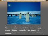 Пингвин - это мужественная и замечательная птица. Неуклюжие на суше и не способные летать по воздуху, пингвины умеют "летать" под водой, они "освоили" самый суровый континент - Антарктиду, они способны в немыслимых условиях антарктической зимы выращивать потомство...