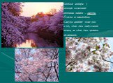 Особый интерес у японцев вызывает японская вишня – сакура. Плоды ее несъедобны. Сакура цветет один раз в год, один день набухают почки, за один день цветки облетают.