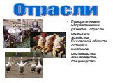 Отрасли. Приоритетными направлениями развития отрасли сельского хозяйства Псковской области остаются молочное скотоводство, свиноводство, птицеводство