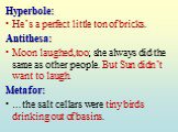 Hyperbole: He’s a perfect little ton of bricks. Antithesa: Moon laughed,too; she always did the same as other people. But Sun didn’t want to laugh. Metafor: …the salt cellars were tiny birds drinking out of basins.