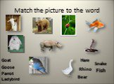 Match the picture to the word Goat Bear Fish Goose Hare Rhino Parrot Snake Ladybird