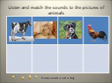 Listen and match the sounds to the pictures of animals. A cow, a cock, a cat, a dog