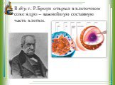 В 1831 г. Р.Броун открыл в клеточном соке ядро – важнейшую составную часть клетки.