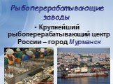 Рыбоперерабатывающие заводы. Крупнейший рыбоперерабатывающий центр России – город Мурманск