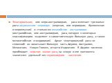 Экваториальная, или негро-австралоидная, раса включает три малые расы африканских негроидов (негрская, или негроидная, бушменская и негрилльская) и столько же океанийских австралоидов (австралийская, или австралоидная, раса, которую в некоторых классификациях выделяют в самостоятельную большую расу,