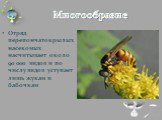 Многообразие. Отряд перепончатокрылых насекомых насчитывает около 90 000 видов и по числу видов уступает лишь жукам и бабочкам