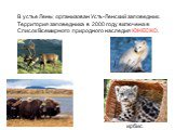 В устье Лены организован Усть-Ленский заповедник. Территория заповедника в 2000 году включена в Список Всемирного природного наследия ЮНЕСКО. ирбис