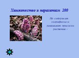 Хищничество и паразитизм 200. Не содержат хлорофилла и развивают присоски растения -