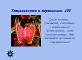 Хищничество и паразитизм 400. Среди зеленых растений, способных к нормальному фотосинтезу, есть насекомоядные. Что является причиной их хищничества?