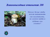 Взаимовыгодные отношения 100. Почему белые грибы нельзя выращивать как шампиньоны, но можно найти в дубраве или ельнике?