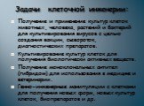 Задачи клеточной инженерии: Получение и применение культур клеток животных, человека, растений и бактерий для культивирования вирусов с целью создания вакцин, сывороток, диагностических препаратов. Культивирование культур клеток для получения биологически активных веществ. Получение моноклональных а