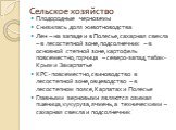 Сельское хозяйство. Плодородные черноземы Снизилась доля животноводства Лен – на западе и в Полесье,сахарная свекла – в лесостепной зоне,подсолнечник – в основной степной зоне,картофель повсеместно,горчица – северо-запад,табак- Крым и Закарпатье КРС- повсеместно,свиноводство в лесостепной зоне,овцев