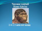 Человек умелый Homo habiles. 2.4-1.5 млн лет назад