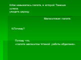 8.Как называлась палата, в которой Танюша хотела увидеть царицу. Малахитовая палата. 9.Почему? Потому что, «палата малахитом тятиной работы обделана».