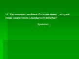 14. Как называют зелёные большие камни , которые люди нашли после Серебряного копытца? Хризолит.