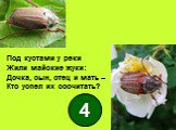Под кустами у реки Жили майские жуки: Дочка, сын, отец и мать – Кто успел их сосчитать?