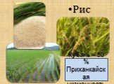 Рис. Кубань – 80 % Приханкайская низменность