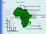 Климат Африки Экватор УВМ ТВМ. Субтропический климат. Тропический климат. ЭВМ. Субэкваториальный климат. Э С/Э Т С/Т 1000 2000 3000 мм. Экваториальный пояс