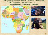 В Африке проживает 800 млн. человек и более 500 народов, относящихся к 16 различным языковым семьям