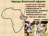 Народы Восточной Африки КУШИТСКИЕ НАРОДЫ. Кушитские народы образовались в результате смешения европеоидной и экваториальной рас. Народы: эфиопы, амхара , сомали