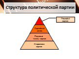 Структура политической партии. Лидер(ы) партии