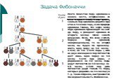 Задача Фибоначчи. Некто поместил пару кроликов в некоем месте, огороженном со всех сторон стеной, чтобы узнать, сколько пар кроликов родится при этом в течении года, если природа кроликов такова, что через месяц пара кроликов производит на свет др. пару, а рождают кролики со второго месяца после сво