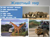 Заповедники и национальные парки России и мира Слайд: 21