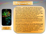 Регуляторы биомолекулярных процессов Слайд: 2