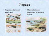 7 класс. 4 среды обитания животных. Местообитания животных в водной среде