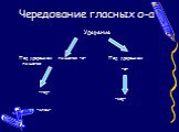 Чередование гласных о-а. Ударение Под ударением пишется -а- Под ударением пишется -о- -гар- -зор- -клан-