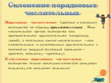 Склонение порядковых числительных. Порядковые числительные (простые и сложные) склоняются по образцу прилагательных. Имя числительное третий склоняется как притяжательное прилагательное (например, лисий), а остальные имена числительные – как относительные и качественные прилагательные с основой на т