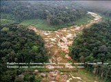 Вырубка лесов в Амазонии, Бразилия. Фотография сделана 7 марта 1997 года. Ежегодно в мире вырубается 11,3 миллиона гектаров лесов. http://nevsedoma.com.ua/index.php?newsid=16557
