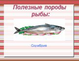 Полезные породы рыбы: Скумбрия