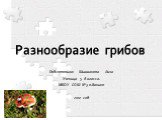 Разнообразие грибов. Подготовила: Шишканова Лиза Ученица 5 б класса. МБОУ СОШ №3 п.Ванино 2012 год