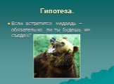 Гипотеза. Если встретится медведь –обязательно ли ты будешь им съеден?