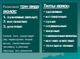 Типы волос: здоровые истощенные сухие нормальные жирные смешанные волосы мягкие и жесткие толстые и тонкие . Различают три вида волос: пушковые (веллус) щетинистые длинные Кроме того, существует ряд переходных видов волос, свойственных человеку в разные периоды его развития.