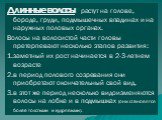 Длинные волосы растут на голове, бороде, груди, подмышечных впадинах и на наружных половых органах. Волосы на волосистой части головы претерпевают несколько этапов развития: заметный их рост начинается в 2-3-летнем возрасте в период полового созревания они приобретают окончательный свой вид. в этот 