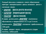 Каждый фолликул с момента своего образования проходит повторяющиеся циклы активного роста и состояния покоя: анаген (фаза роста волоса) катаген (переходная фаза) телоген (фаза покоя) В норме длительность анагена генетически обусловлена и продолжается от 2-х до 5-ти лет. Длительность телогена составл